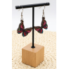 Schmetterling 3